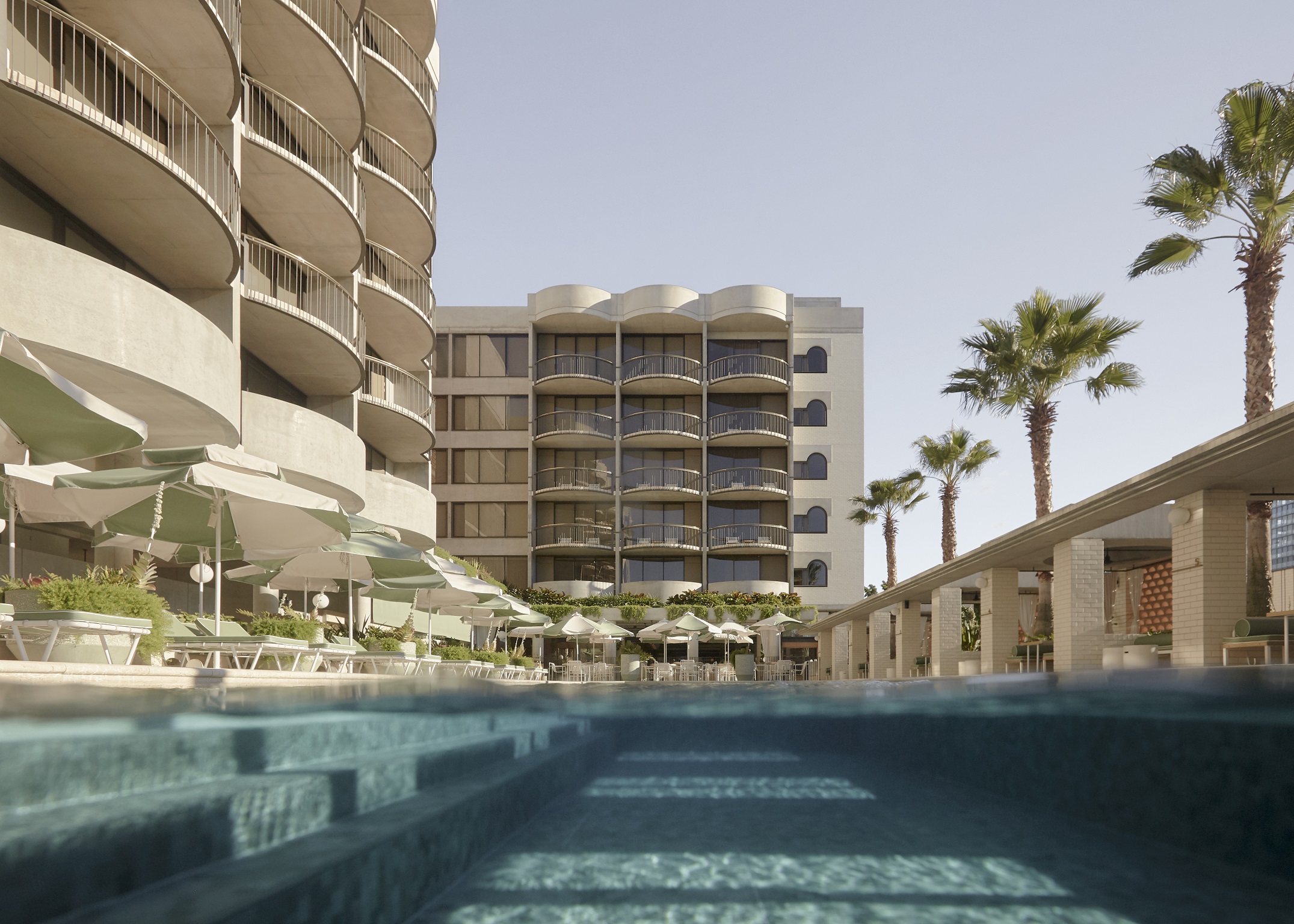 The Calile Hotel Pool